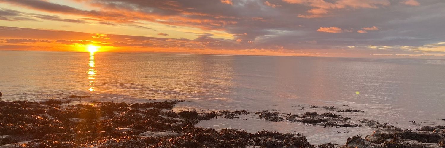 dominicpic's profile banner image