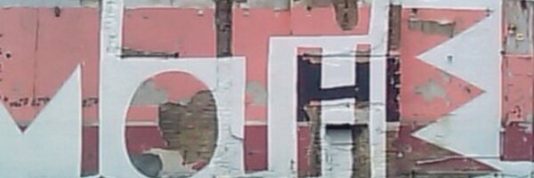 MaMSIEnetwork Profile Banner