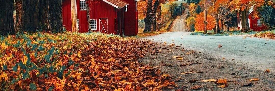 justfaqoth_'s profile banner image