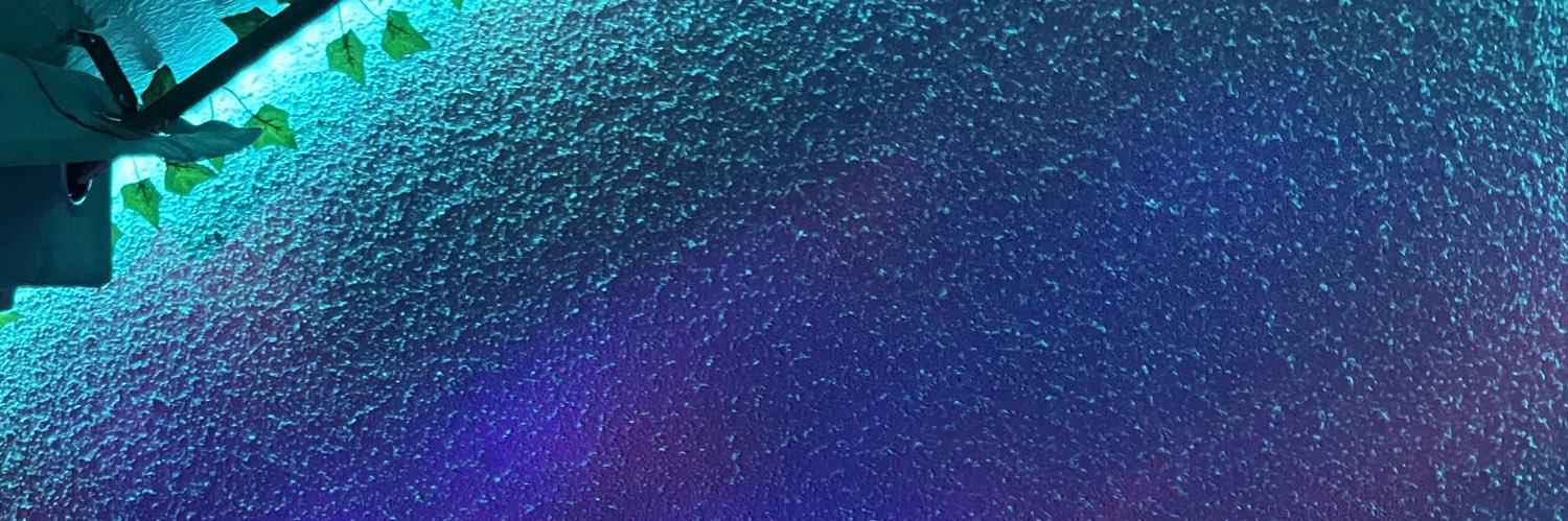 Miguel__arce's profile banner image