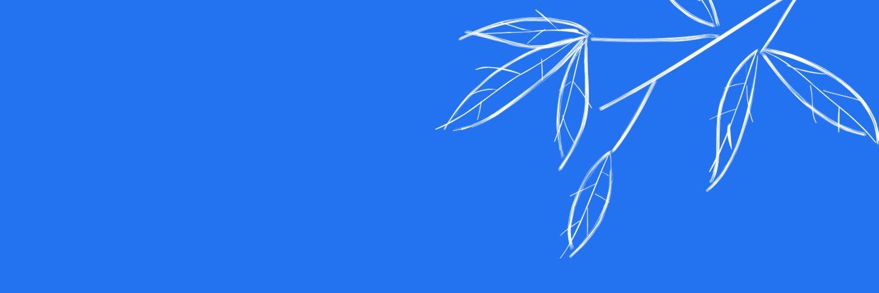 rvillas's profile banner image