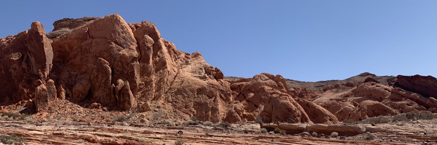 paul schackman banner