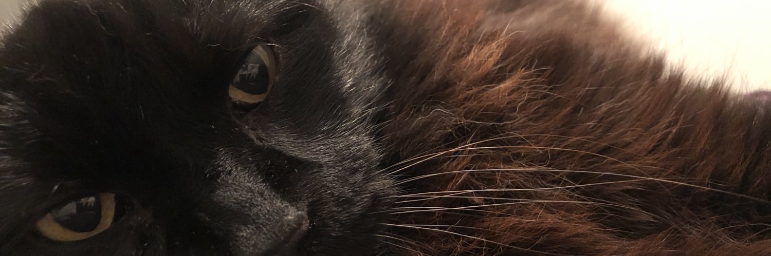 danicalbarnett's profile banner image
