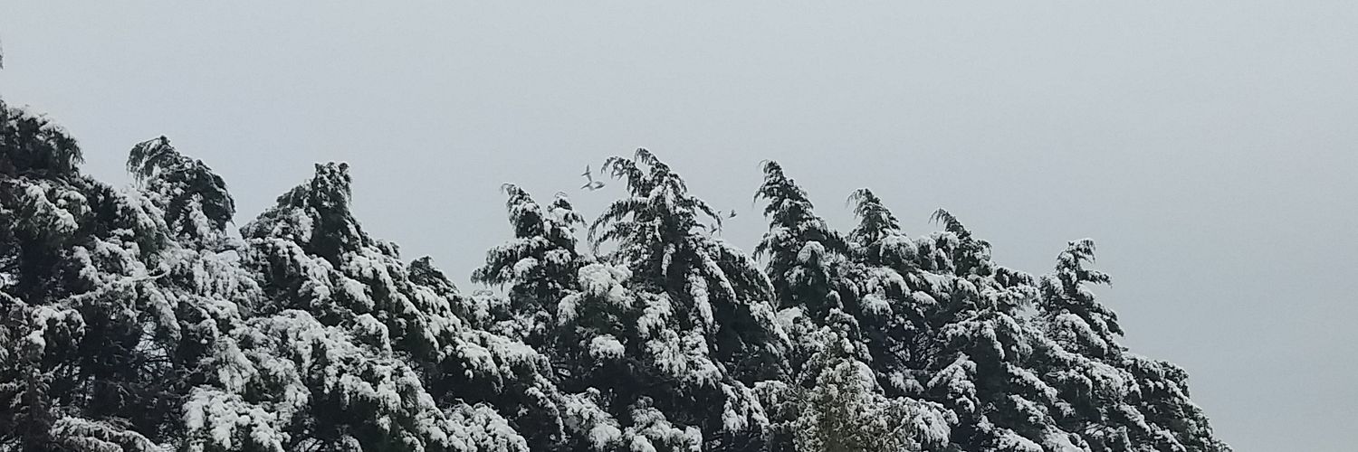 JenniferGon28's profile banner image