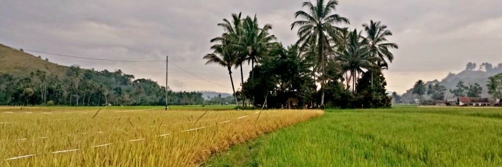 MuhammadRahmad's profile banner image