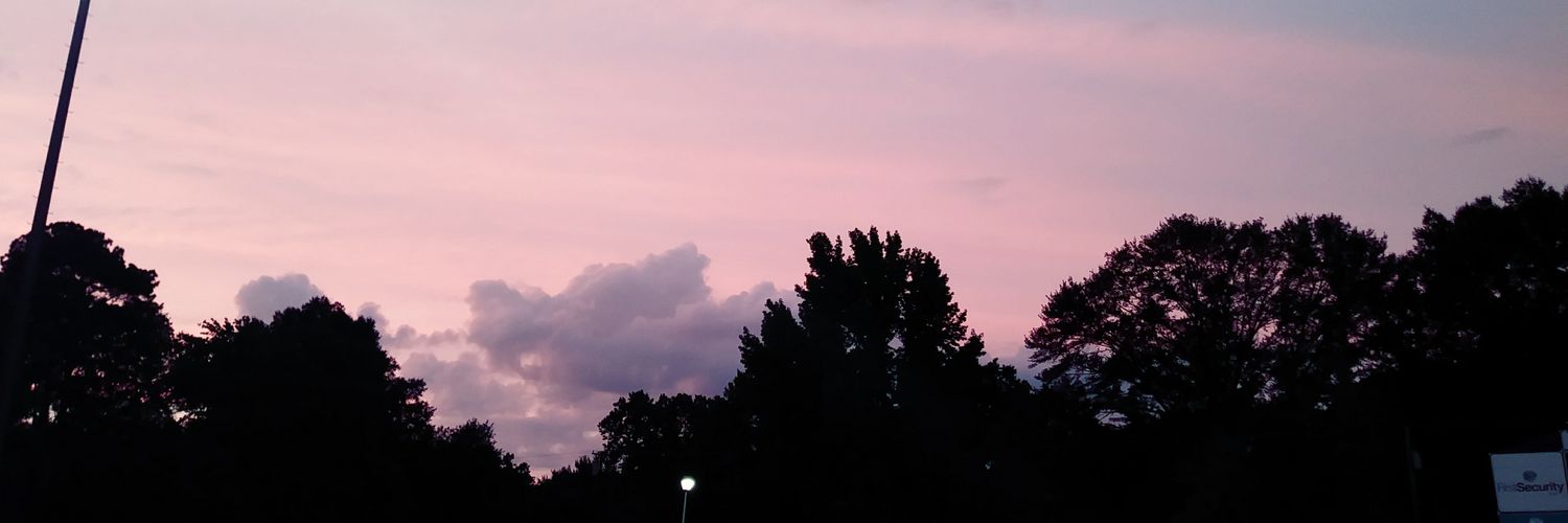 arianaj333's profile banner image