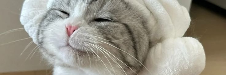 Ella999700's profile banner image