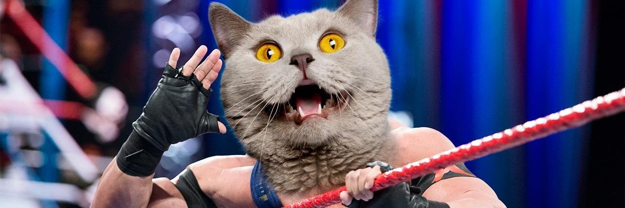 Dsadowsky42's profile banner image