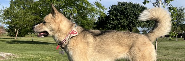 CoachDBenway Profile Banner