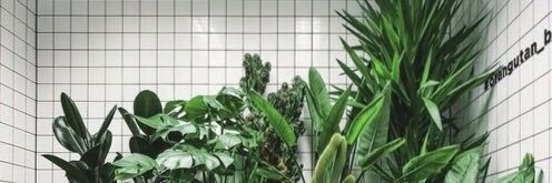 sbutr___3's profile banner image