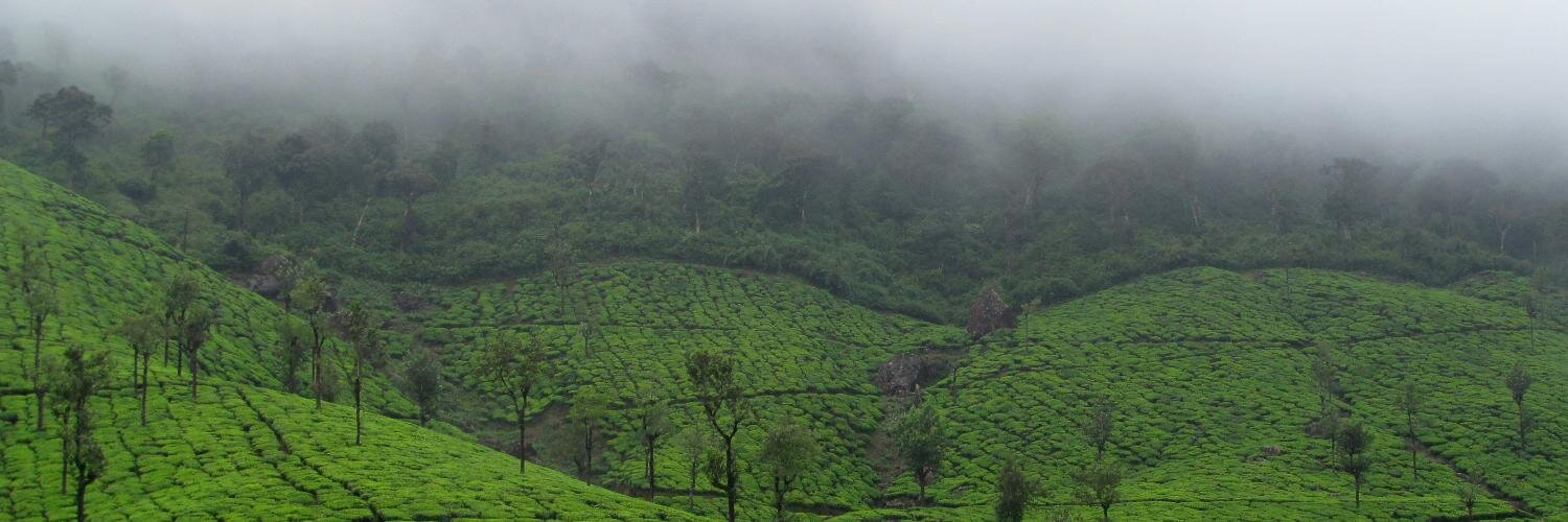 Ershad Kunnakkadan banner