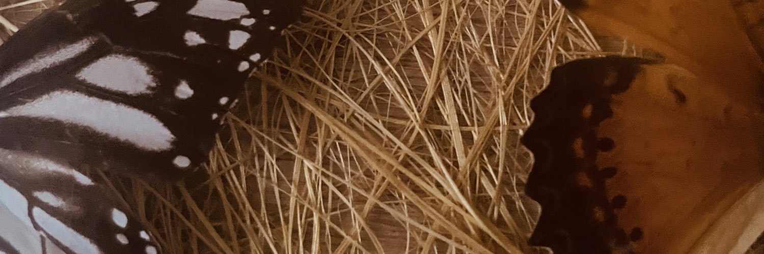 Hannwich's profile banner image