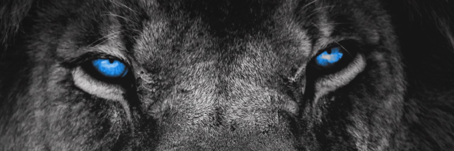 RyanBanes's profile banner image