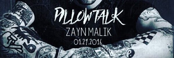 zaynsasoo's profile banner image