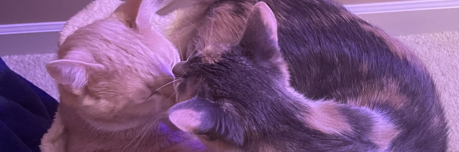 VELVETCH3RRY's profile banner image