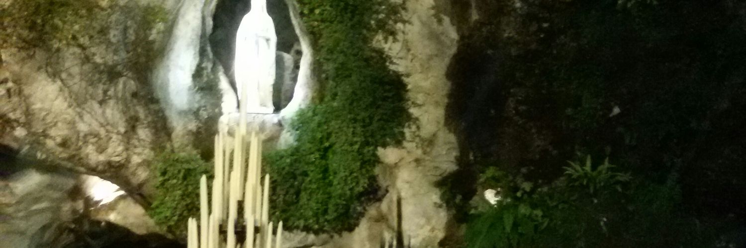 Pina Carbini banner