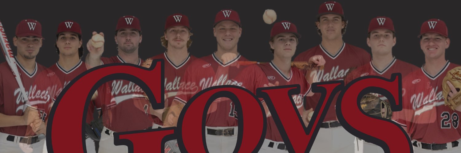 Wallace-Dothan Baseball banner