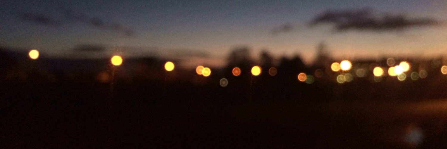 aliice_rose's profile banner image