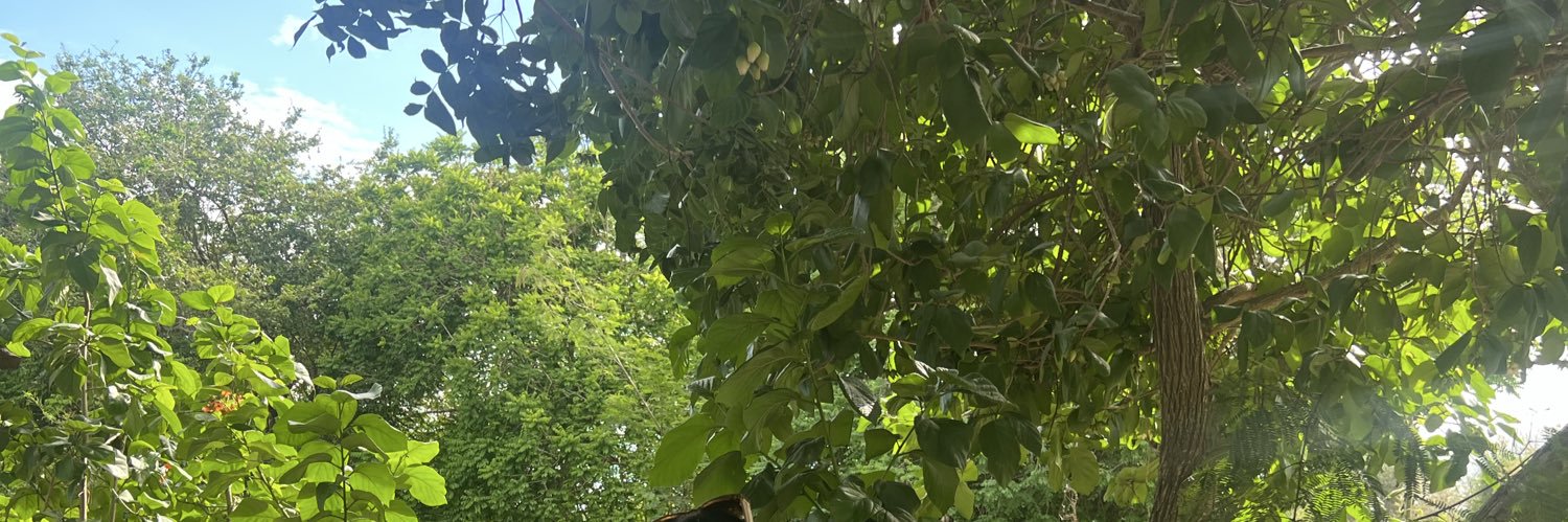 stxphmn's profile banner image