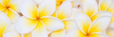 ymr_216's profile banner image