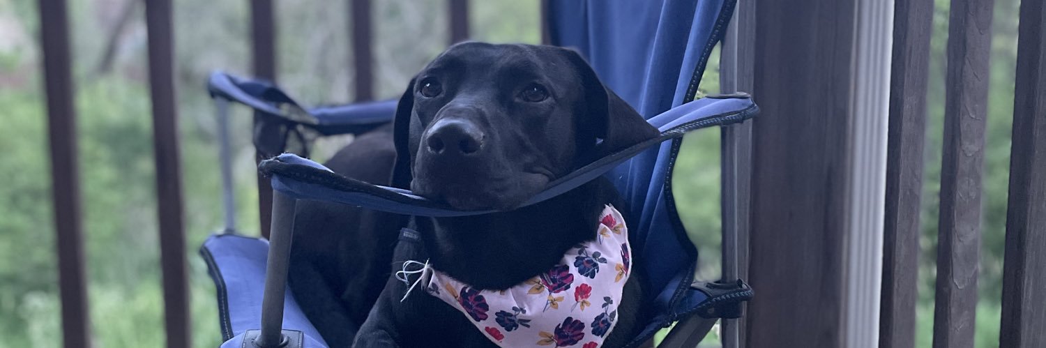WeborgAshley's profile banner image