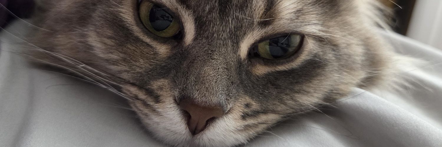 HappyTweetLisa's profile banner image