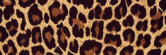 DiamondsLife22's profile banner image