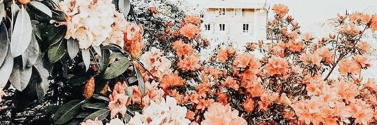 hannah_fayeee's profile banner image