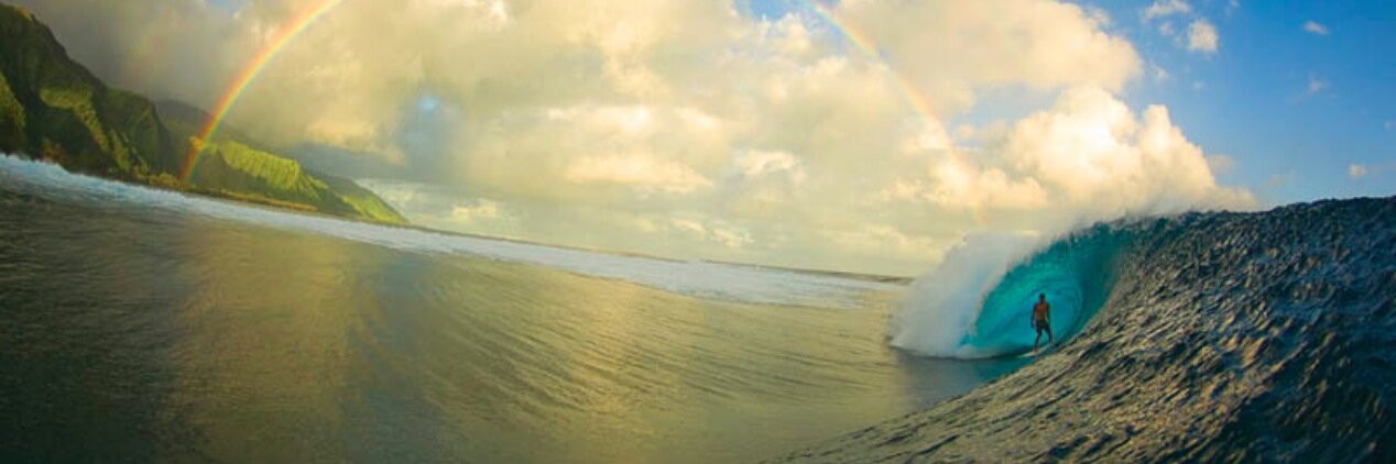 Erinn Alexander banner