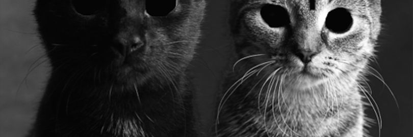 98Aaqc's profile banner image