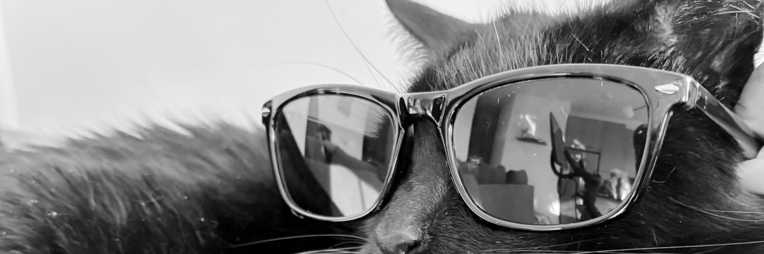 _brittfriese's profile banner image