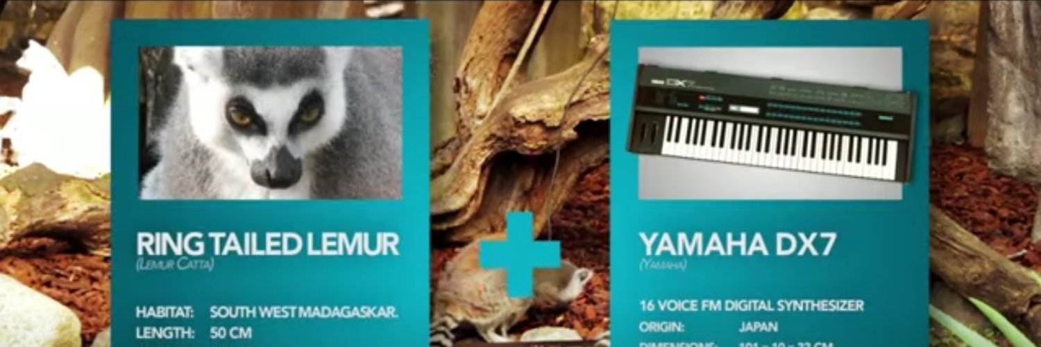 PolyphonicLemur's profile banner image