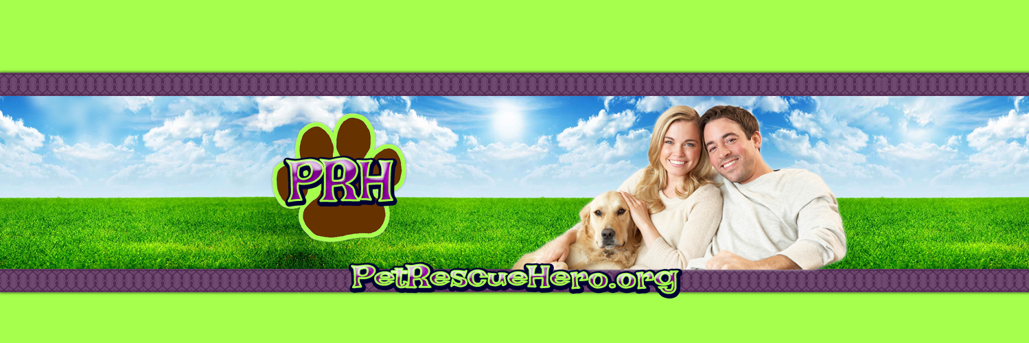 PetRescueHero's profile banner image