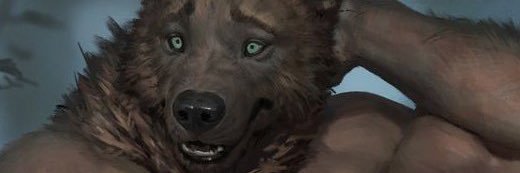 skrtlv's profile banner image