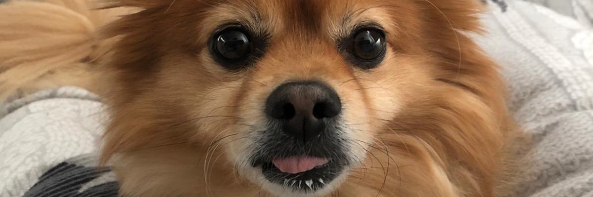 WadeEason's profile banner image