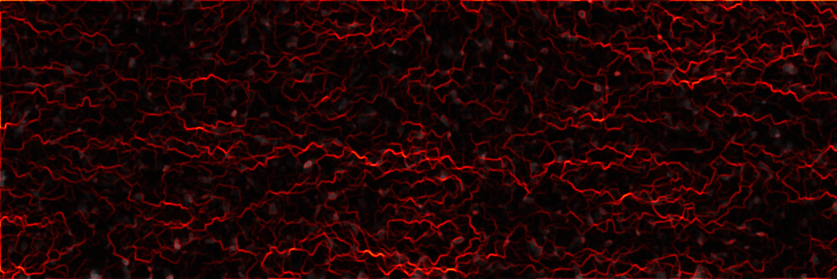 ka25438's profile banner image
