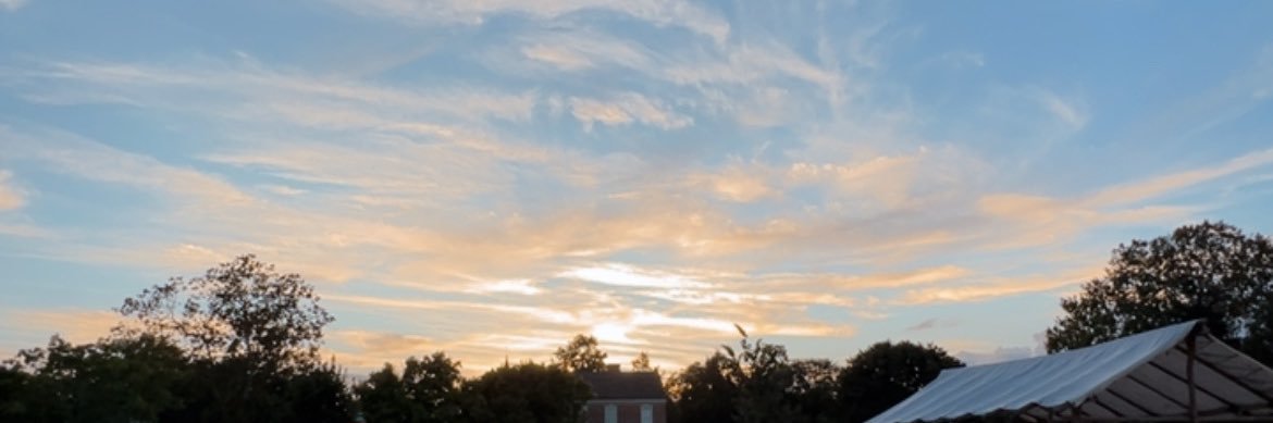 zigzagsj's profile banner image