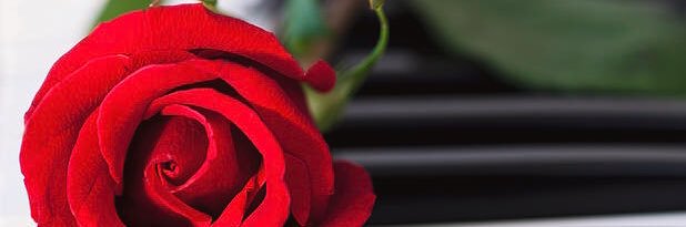 Shaiboom's profile banner image