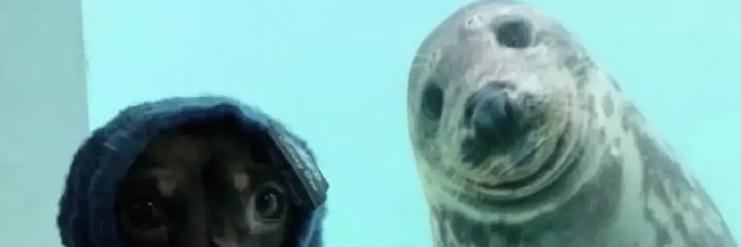 AlexTJones8's profile banner image