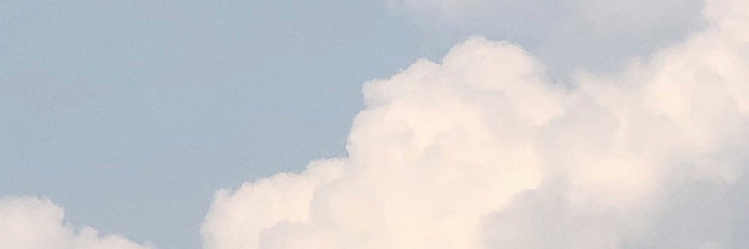 Miesmind's profile banner image