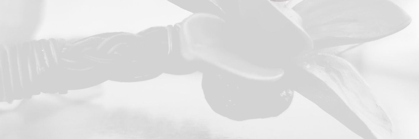 RangGallery's profile banner image