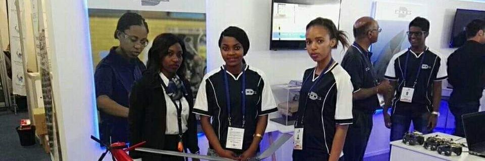 Denel's banner