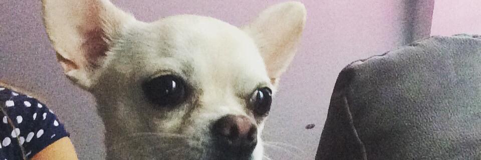 Alex_andra_ps's profile banner image