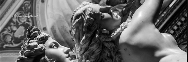 seleniamorgillo Profile Banner