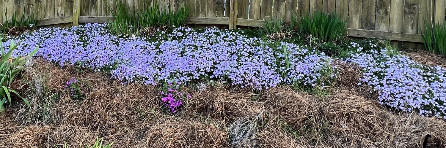 GardenInColor's profile banner image