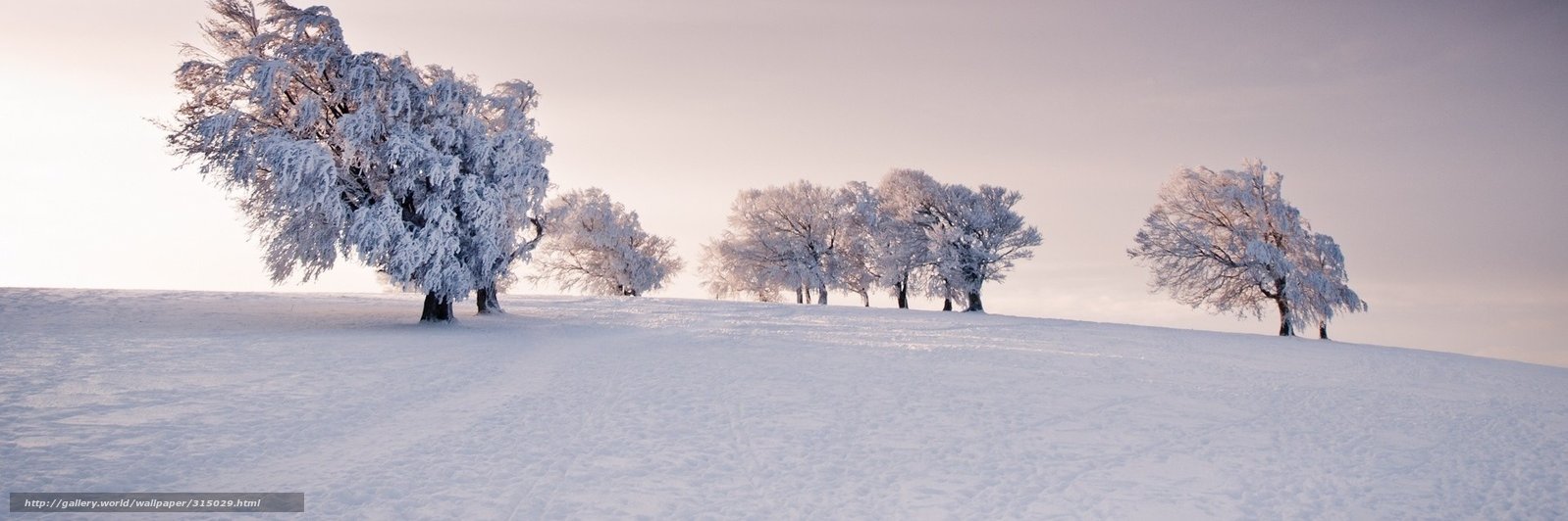 Riku Perhoniemi banner
