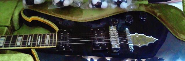 ぽーる(★o＾)／ banner