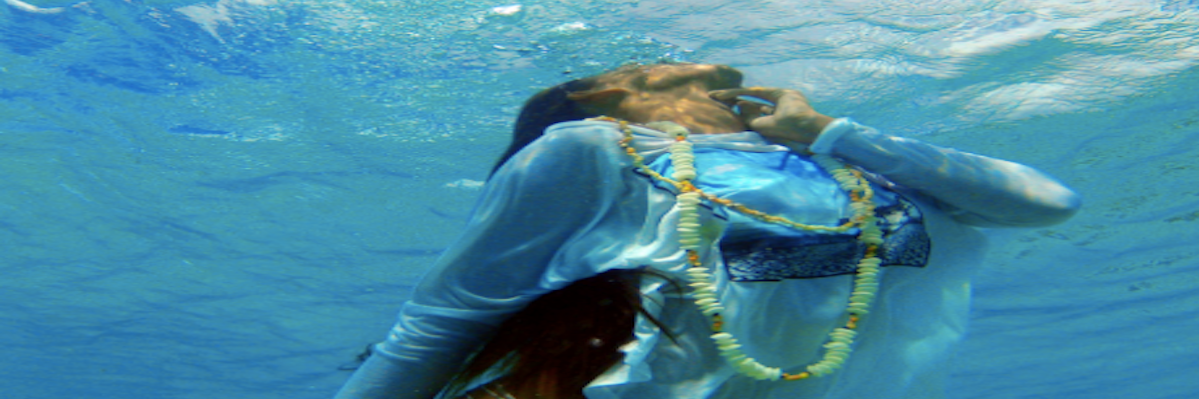 fitfoxswim's profile banner image