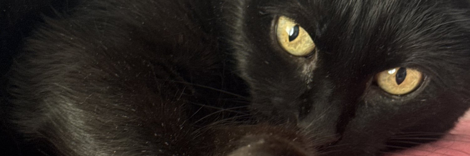 miicaprixitoo's profile banner image