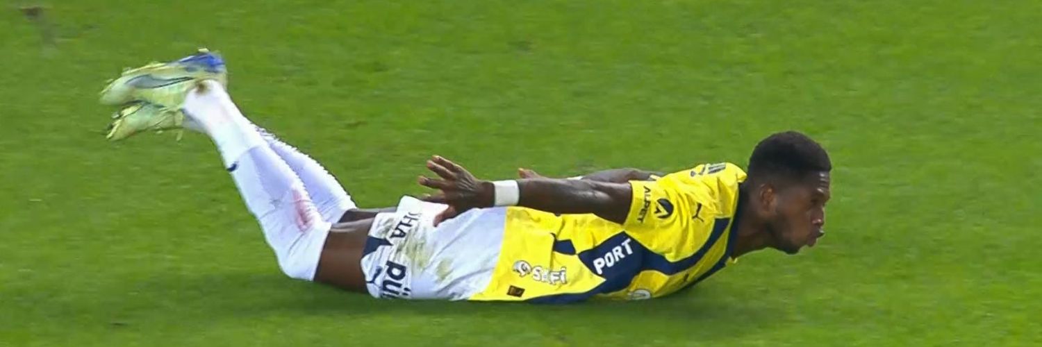 srbstfert's profile banner image